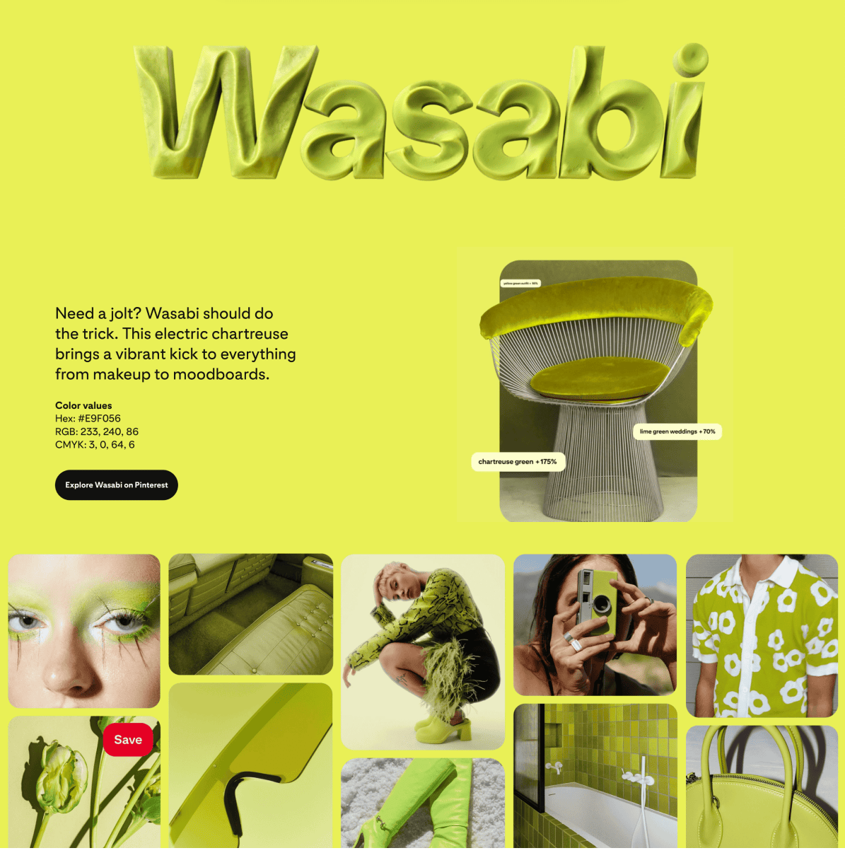 wasabi-site